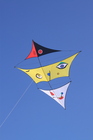 Phoenix im Miró-Stil