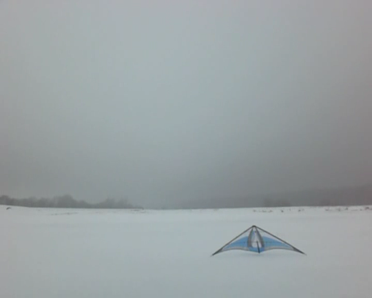 Kite in White